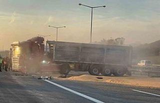 Devrilen tır kaldırıldı, TEM Otoyolu trafiğe...