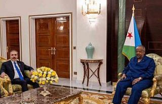 Dışişleri Bakanı Fidan, Cibuti Cumhurbaşkanı...