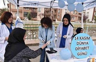 Diyabet farkındalığı için kan şekeri kontrolü