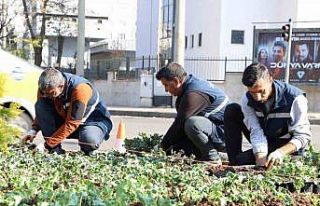 Diyarbakır 1 milyon çiçekle renkleniyor