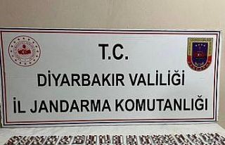 Diyarbakır’da 584 adet uyuşturucu hapla yakalanan...