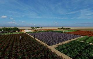 Diyarbakır’da tıbbi ve aromatik bitki bahçesi...