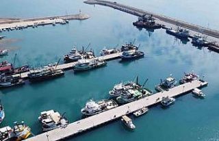 Doğu Akdeniz’de balık popülasyonu azalıyor