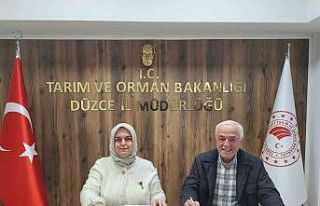 Düzce kestane balında kalite ve marka değeri için...