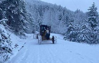 Düzce’de 26 köy yolu kar nedeniyle kapalı