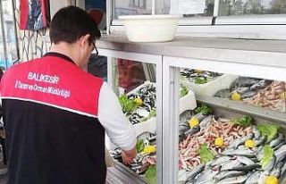 Edremit’te tarım müdürlüğü balıkçılara...