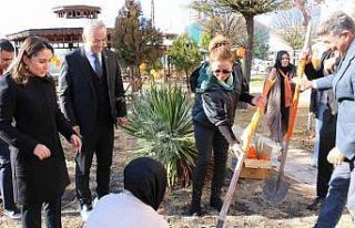 Elazığ’da kadına yönelik şiddetle mücadele...