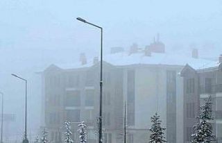 Elazığ’da kar yağışı sonrası sis etkili oldu