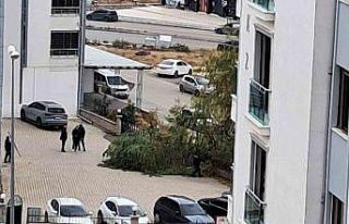 Elazığ’da şiddetli fırtına ağaçları devirdi