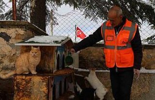 Elazığ’da sokak hayvanları için doğaya yem...