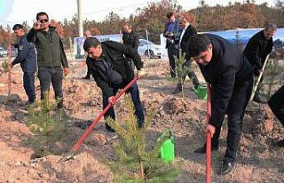 Emet’te 300 fidan toprakla buluştu