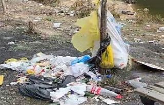 Erdek Kağıdağ Yarımadası’nda çevreye duyarsızlık:...