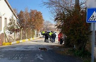 Ereğli’de otomobilin çarptığı öğrenci yaralandı