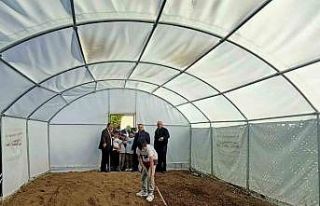 Erzincan’da okuldaki çiftlik kışlık sebze üretecek