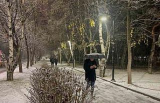 Erzurum’da kar yağışı etkili oluyor