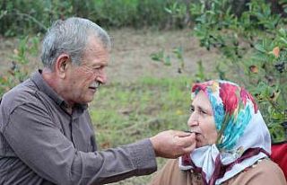 Eşinin rahatsızlığı için ektiği meyvenin taleplerine...