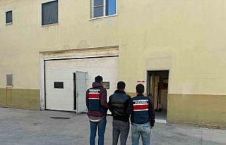 Gaziantep’te göçmen kaçakçılığı organizatörü...