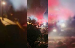 Gece saatlerinde çıkan yangında 6 buzağı telef...