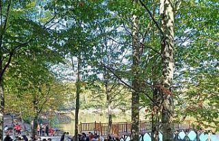 Gençler bu sefer Korugöl’de yürüdü