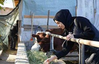 Gıda mühendisi 2 çocuk annesi devletten aldığı...