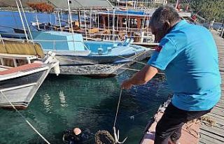Gökova Körfezi’nde yasa dışı avcılığa geçit...