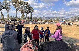 Güreşi kazanınca davul zurna eşliğinde oynadı