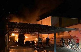 Hatay’da lastikçide yangın: Alevler geceyi aydınlattı