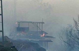 Hatay’da orman yangını evlere sıçradı