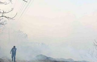 Hatay’da orman yangını kontrol altına alındı