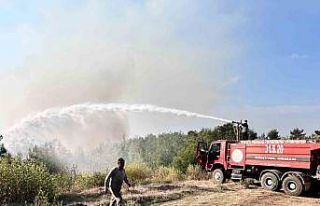 Hatay’da orman yangını rüzgarın etkisiyle büyümeye...