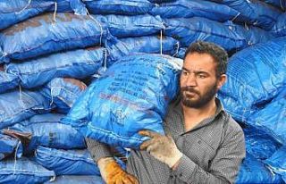 Havaların soğumasıyla kömür satışları arttı