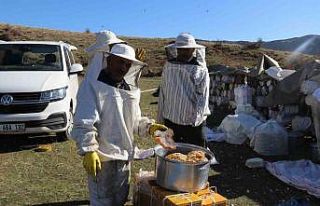 Hizan’da karakovan balının hasadı sürüyor