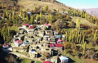 Hizan’da taş evler sonbaharda kartpostallık görüntüler...