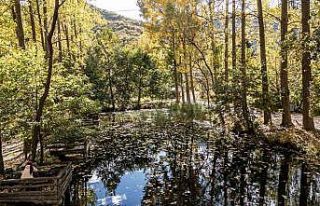 İç Anadolu’nun gizli kalmış cenneti renkleriyle...