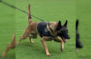 İstanbul’da ele geçirilen tonlarca uyuşturucuyla...