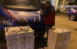 İstanbul’da yasadışı küçük boy balık nakli...