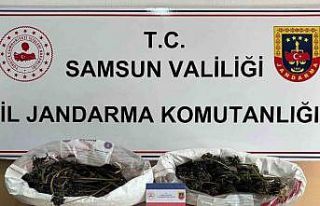 Jandarma 627 gram kubar esrar ele geçirdi
