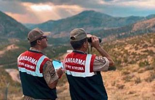 Jandarma doğayı koruma faaliyetlerini sürdürüyor