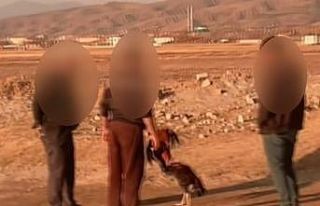 Jandarmadan bahisli horoz dövüştürücülerine...