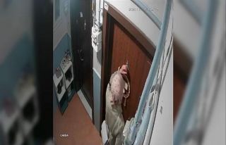 Kadın hırsızlar güvenlik kameralarının kablolarını...