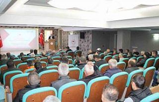 Kahverengi kokarca ile mücadelede eğitimli ilaçlama...