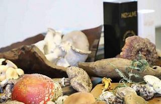 Kanser tedavisinde önemli silah: “Mantar”