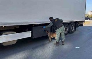 Kapıkule’de bidonların içerisine gizlenmiş 24...