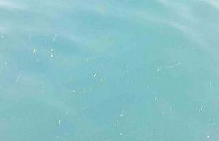 "Karadeniz çevresindeki ülkelerin atıklarıyla...