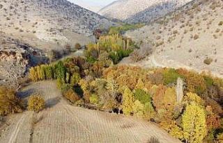 Karasu Çayı’nın sonbahar güzellikleri havadan...