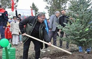 Kars’ta Milli Ağaçlandırma Günü: 11 bin 500...