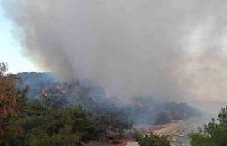 Keşan’da ormanlık alanda çıkan yangın kontrol...