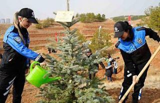 Kırıkkale’de yüzlerce fidan toprakla buluşturuldu