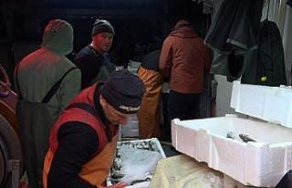 Kırklareli’nde istavrit ve çinekop bolluğu