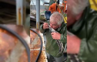 Kırklareli’nde yakalanan nesli tehlikedeki mersin...